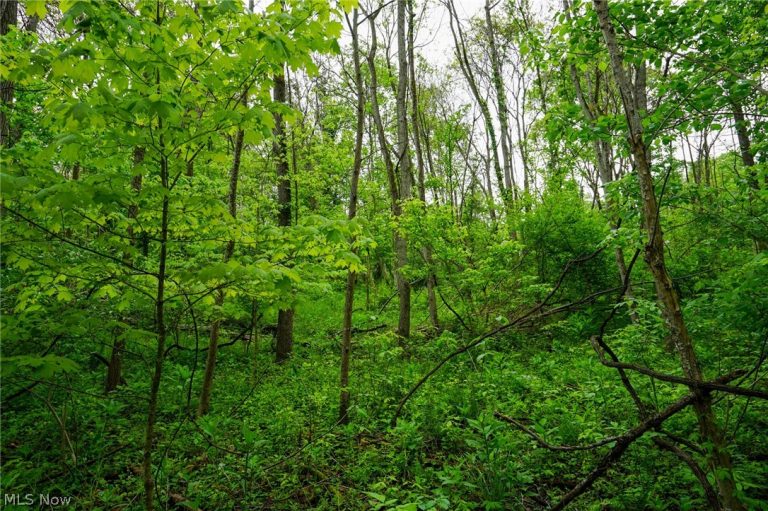 Ervin Ln, Stockport, OH - Photo 2