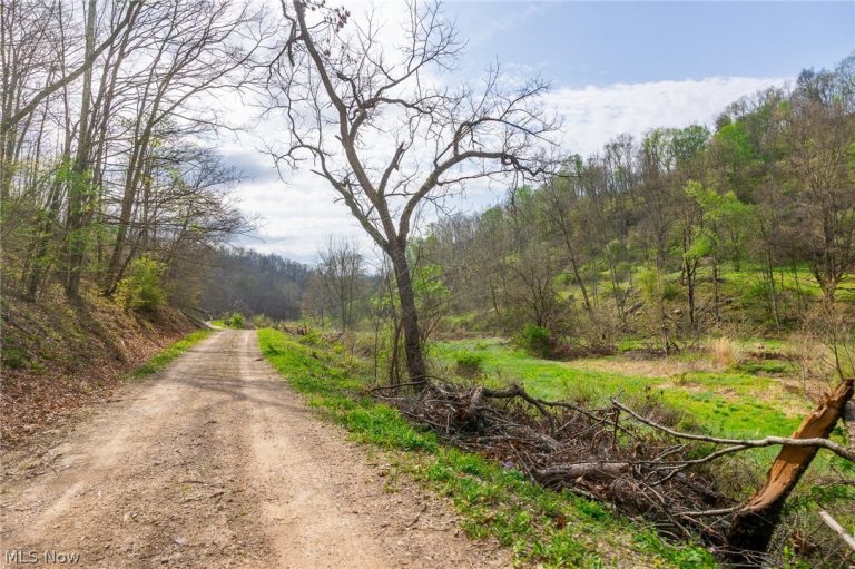 Twp Rd 63 Deans Fork #3, Whipple, OH - Photo 3