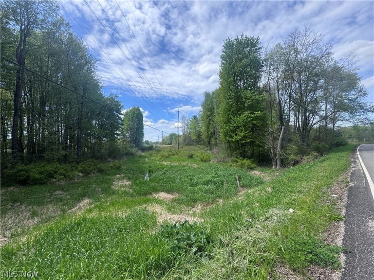 V-L Parkman Road, Windham, OH - Photo 5