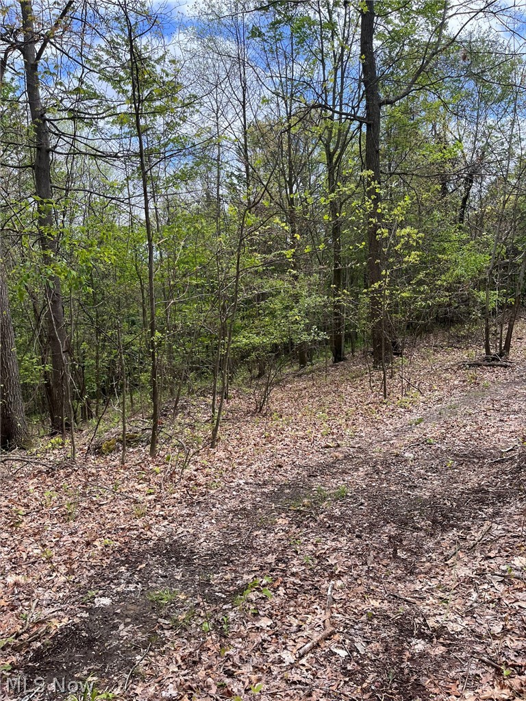 Sandy Ridge Road, Tippecanoe, OH - Photo 8