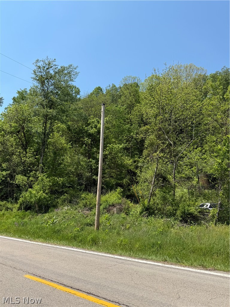 Harrietsville SR 145 Road, Lower Salem, OH - Photo 8