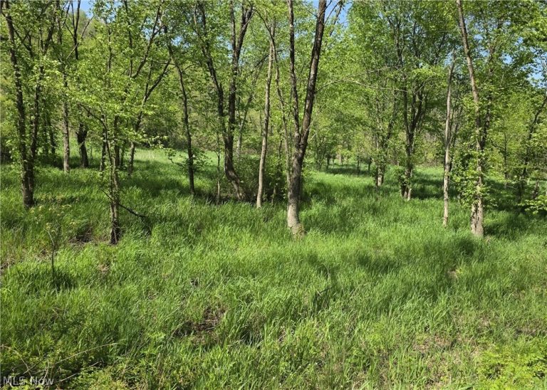 6820 Crane Run Road, Cumberland, OH - Photo 4