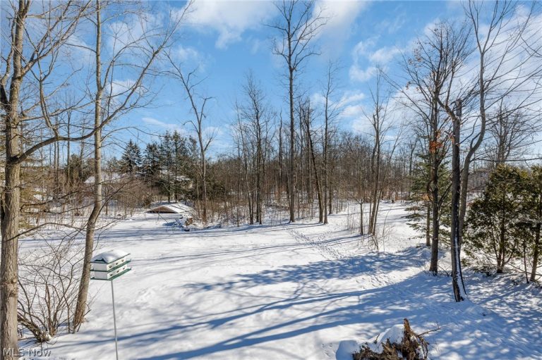 19443 Rye Gate Drive, North Royalton, OH - Photo 6