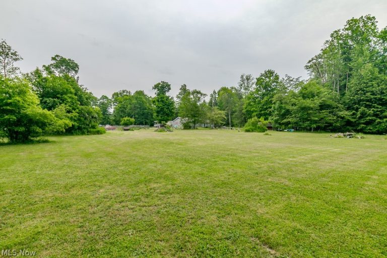 7250 Brakeman Road, Painesville Twp, OH - Photo 8