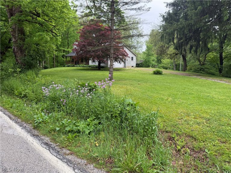 11165 Peck Road, Mantua, OH - Photo 2