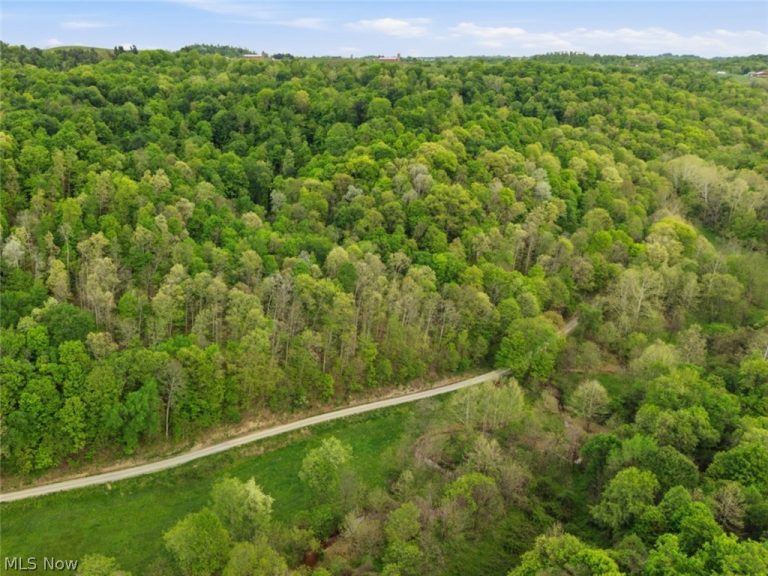 Pratts Run Road, Clarington, OH - Photo 3