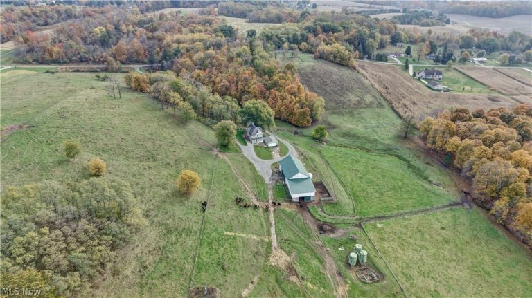 6895 Kemary Avenue, Navarre, OH - Photo 8
