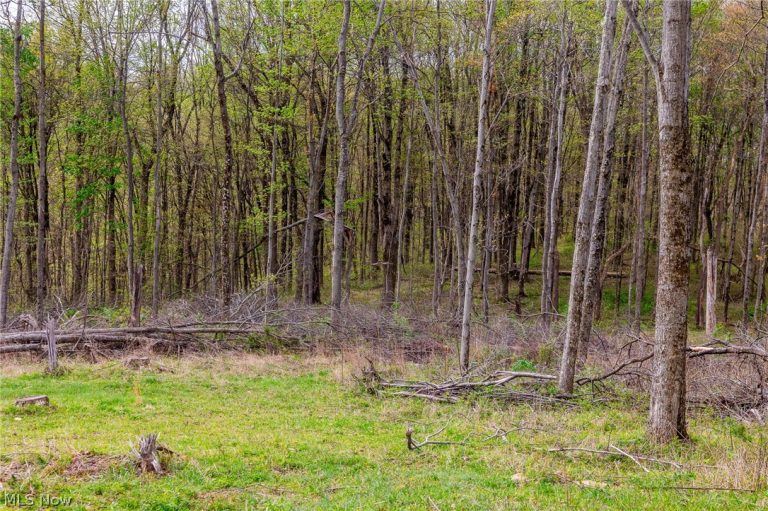 2115 Goss Fork Rd #2, Whipple, OH - Photo 5