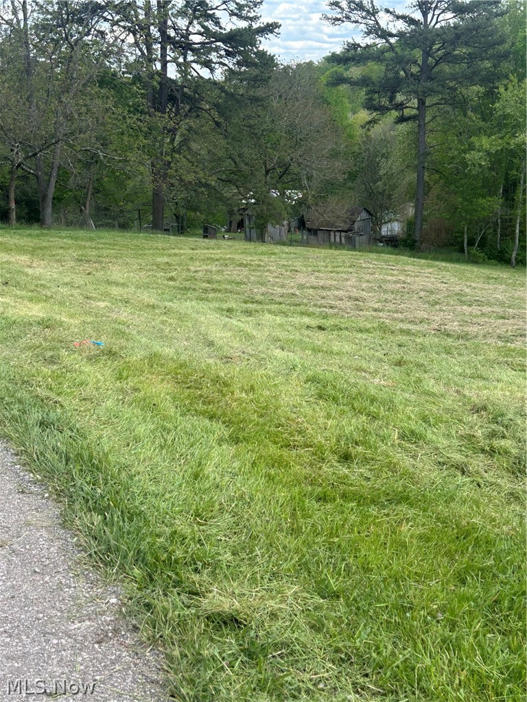 County Line Road, St Marys, WV - Photo 2