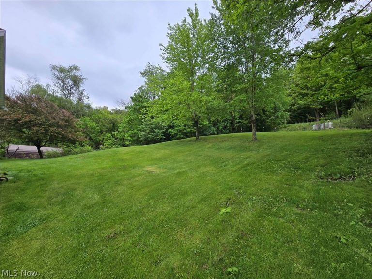 67480 Plum Street, Bridgeport, OH - Photo 3