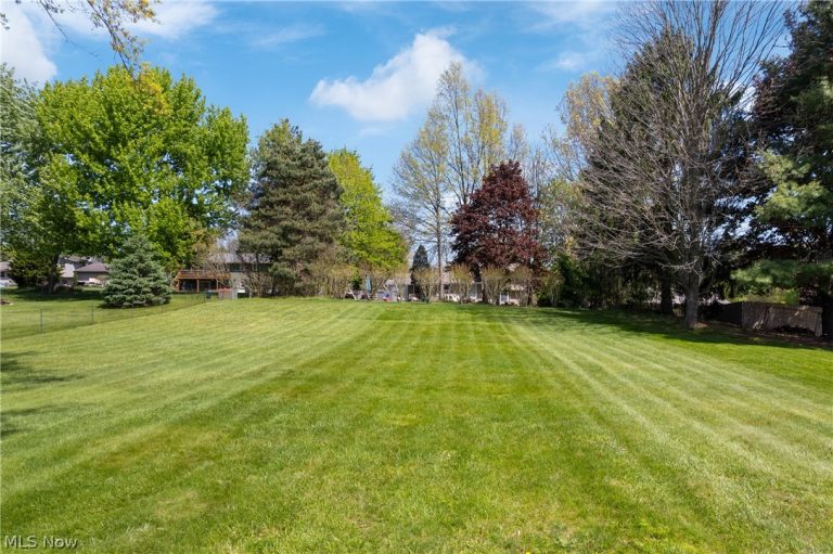11074 Sagebrush Avenue, Uniontown, OH - Photo 8