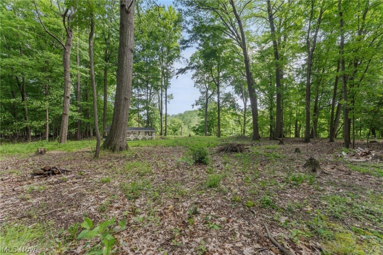 6165 Grandridge Pointe Drive, Concord Twp, OH - Photo 8