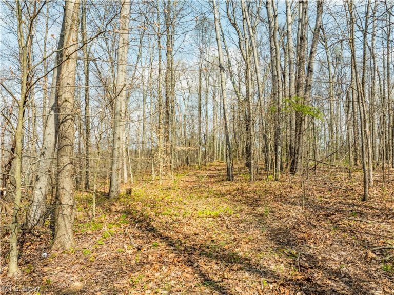 Captina Highway Road, Alledonia, OH - Photo 2