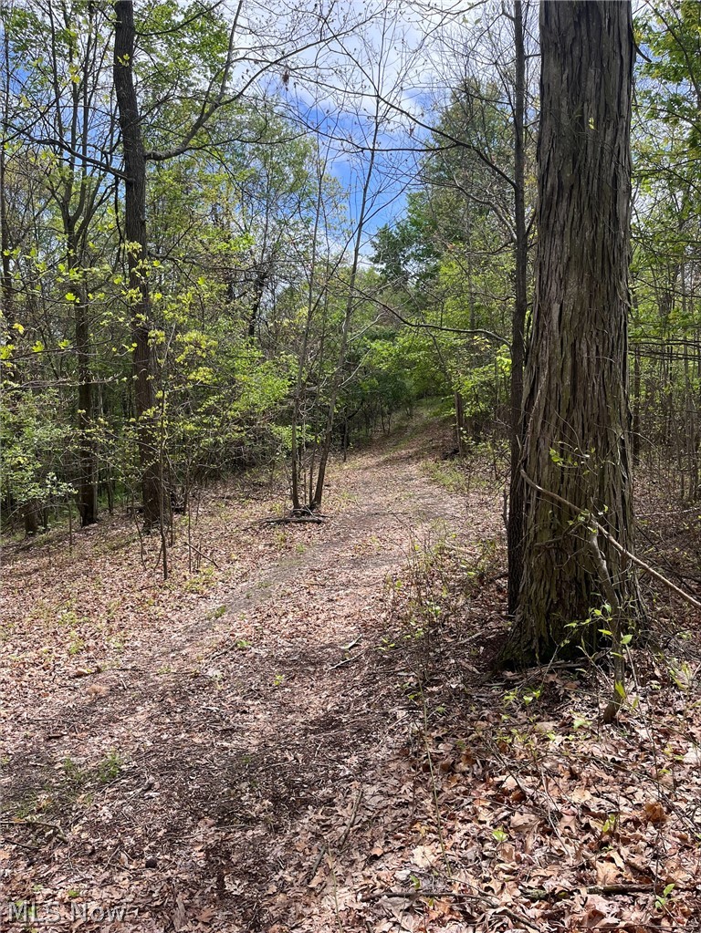 Sandy Ridge Road, Tippecanoe, OH - Photo 6