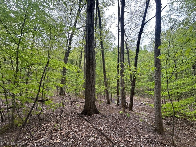 Wesley Chapel, Mount Perry, OH - Photo 4