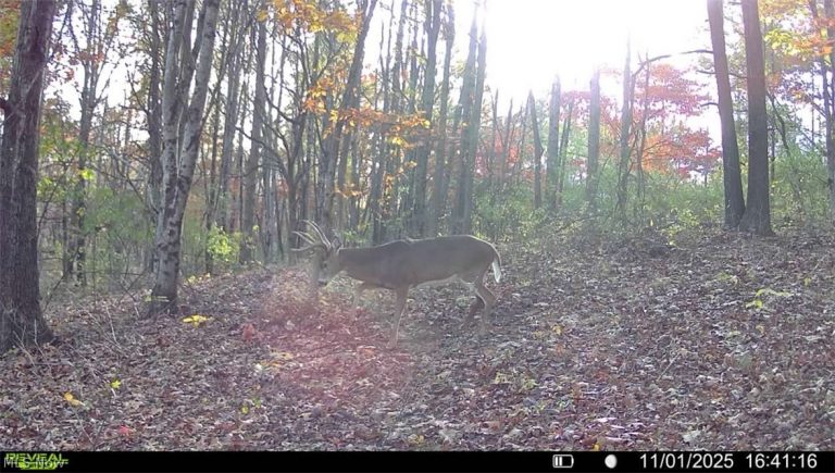 Crum Ridge Rd, Caldwell, OH - Photo 6