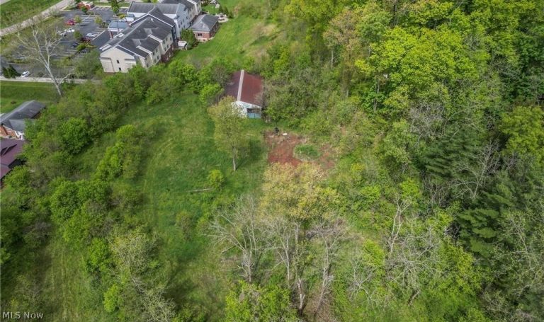 305 County House Lane, Marietta, OH - Photo 4