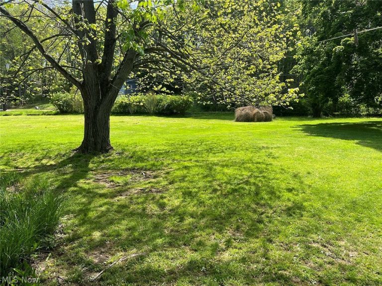 8180 Maple Street, Sherrodsville, OH - Photo 6