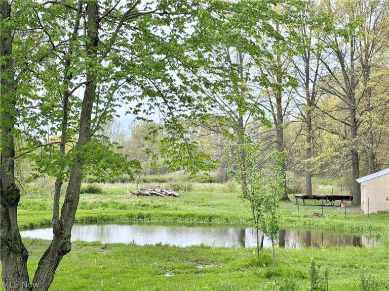 3948 Carson Salt Springs Road, Newton Falls, OH - Photo 3