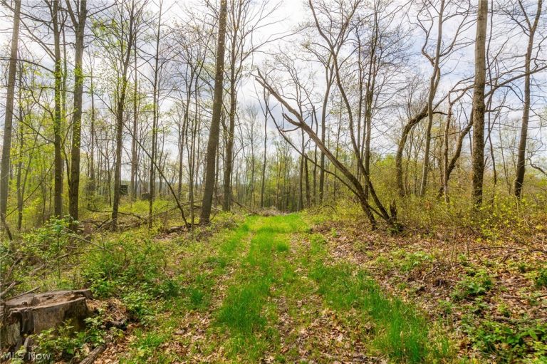 2115 Goss Fork Rd #2, Whipple, OH - Photo 3