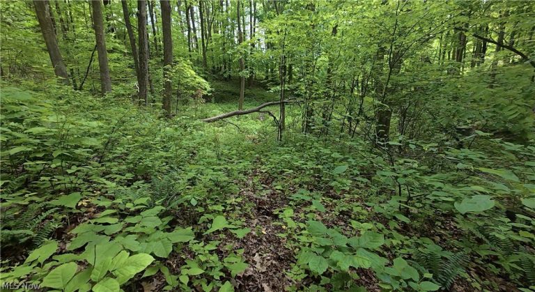 Tatman Road, Uhrichsville, OH - Photo 5