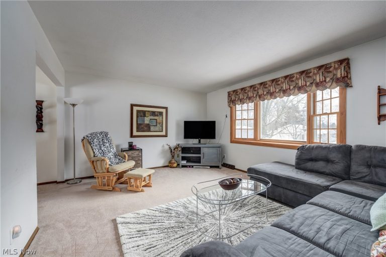 3811 Bramblewood Drive, Brunswick, OH - Photo 8