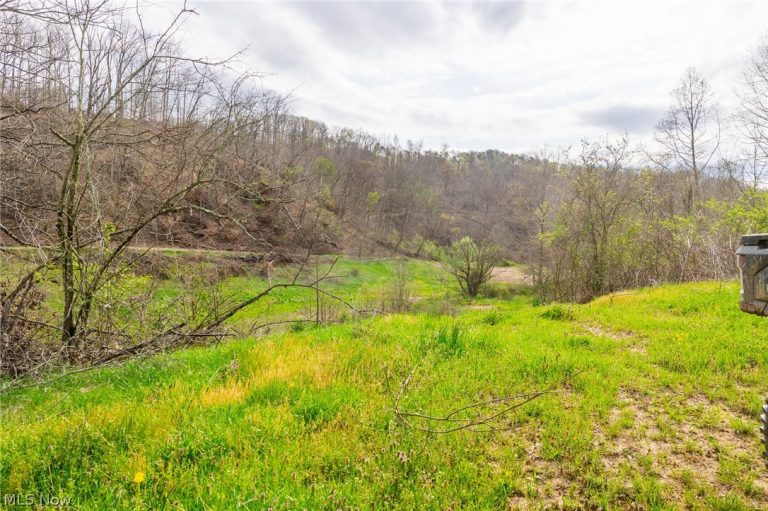 Twp Rd 63 Deans Fork #3, Whipple, OH - Photo 8