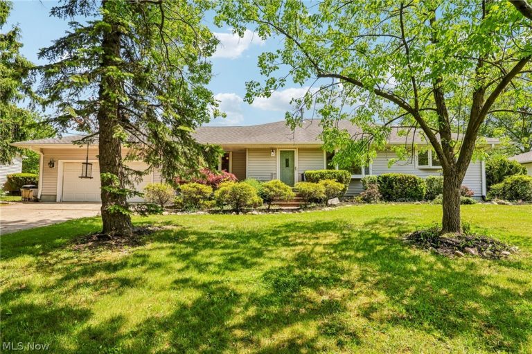 1147 Ridgeview Drive, Brunswick, OH, 44212