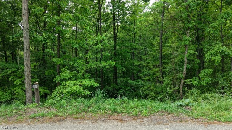 Tatman Road, Uhrichsville, OH - Photo 2