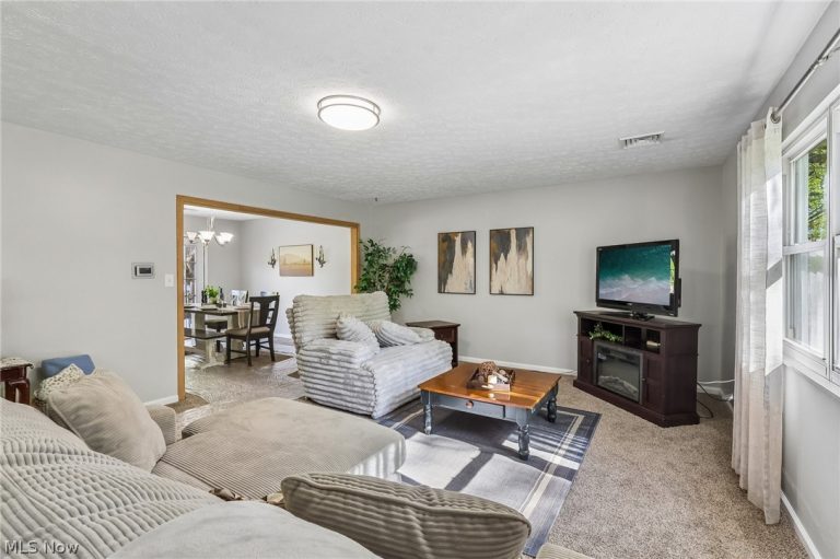 1570 County Line Road, Madison, OH - Photo 6