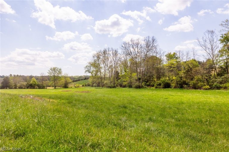 9651 Reno Lane, Hillsboro, OH - Photo 4