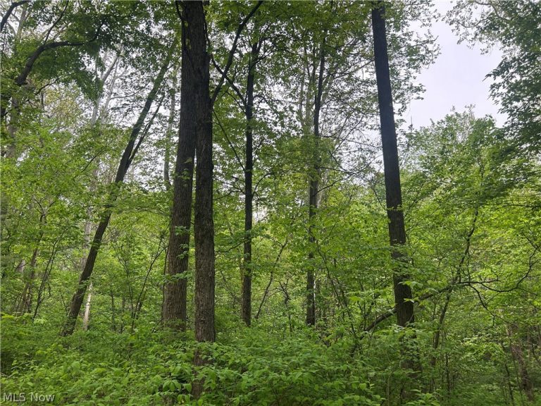 Wesley Chapel, Mount Perry, OH - Photo 2