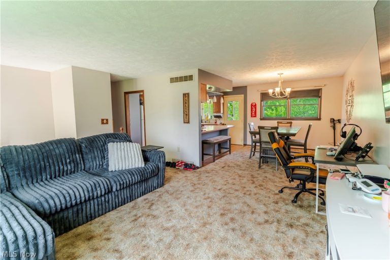 333 Kathleen Drive, Jefferson, OH - Photo 8
