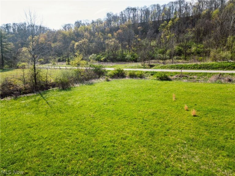 Captina Highway Road, Alledonia, OH - Photo 3