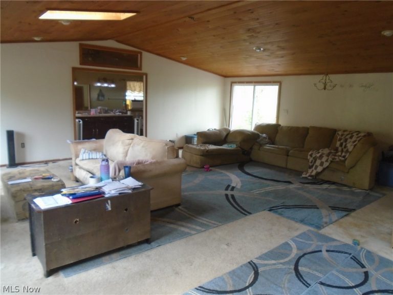 48328 Allegheny Trail, Negley, OH - Photo 4