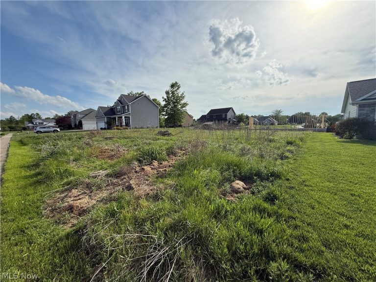 20 Oakview Crossing, Canfield, OH - Photo 3