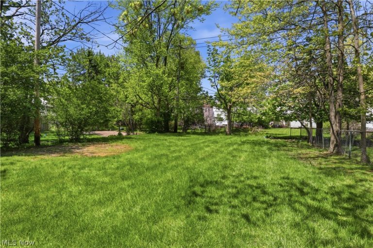 14455 Carroll Boulevard, University Heights, OH - Photo 5