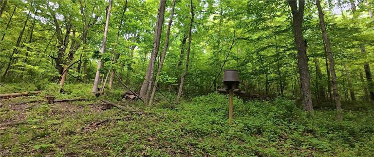 Tatman Road, Uhrichsville, OH - Photo 8