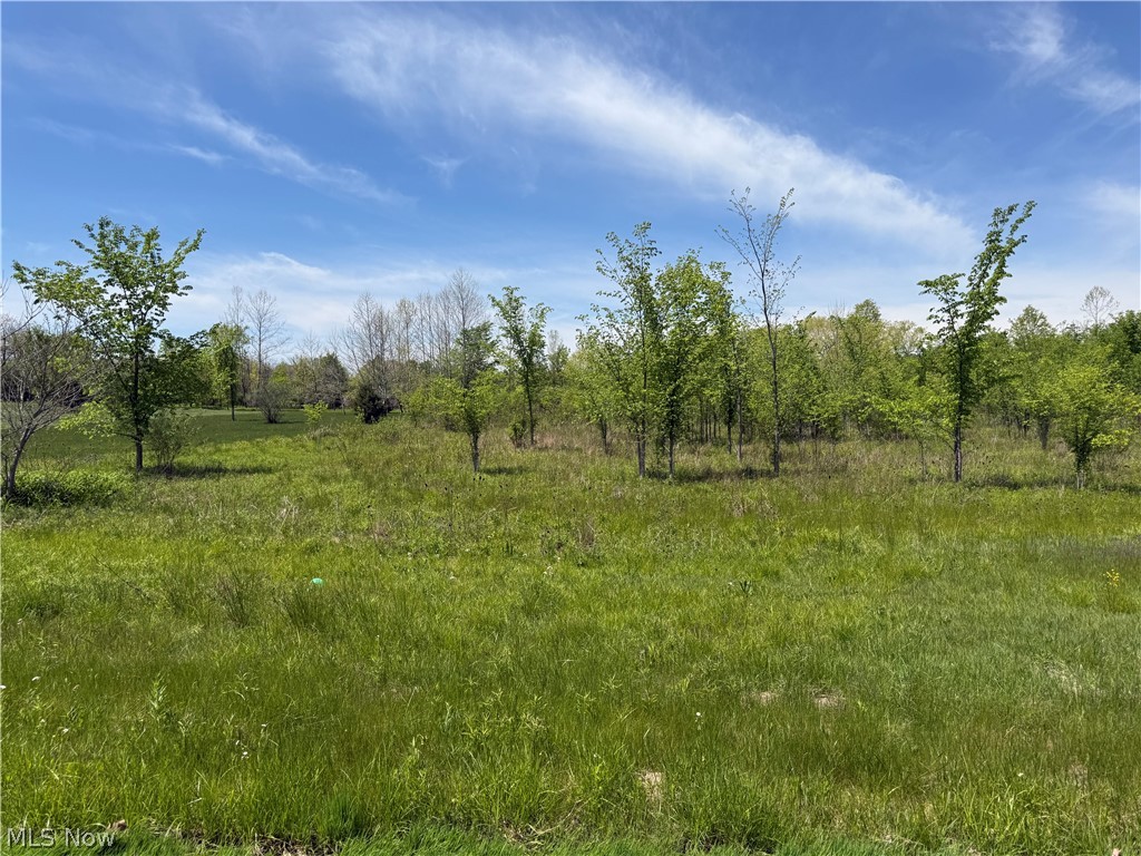 Station Road, Valley City, OH