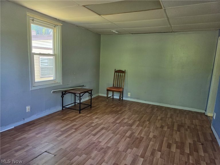 199 Mathews Street, Painesville, OH - Photo 2