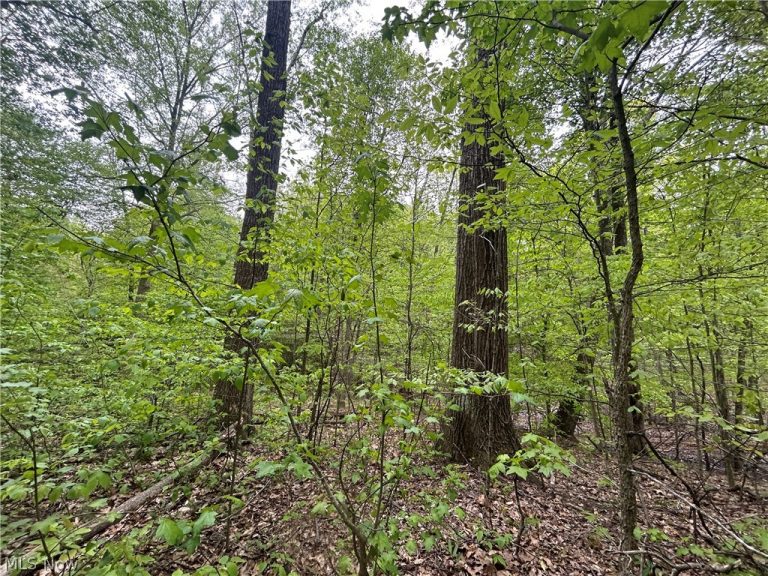 Wesley Chapel, Mount Perry, OH - Photo 5