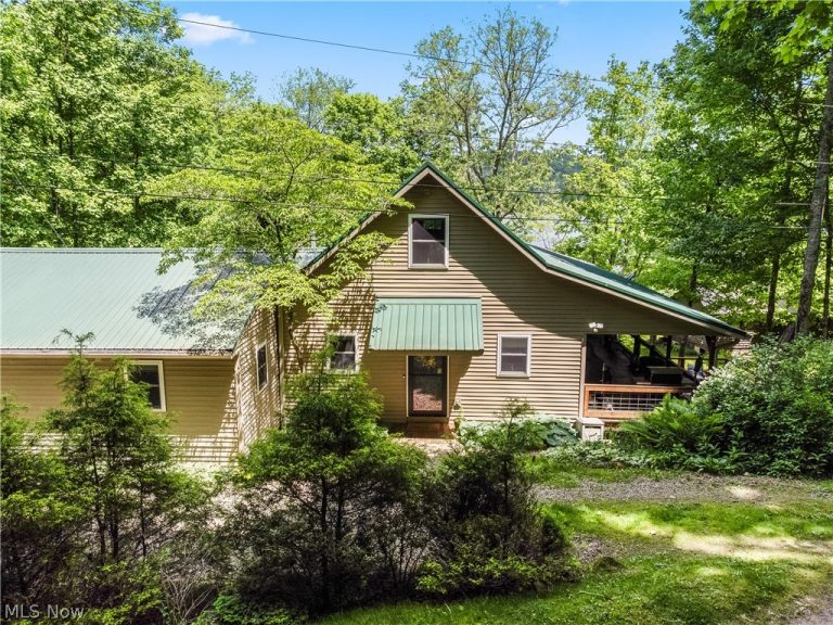 33605 Goodrich Drive, Piedmont, OH, 43983