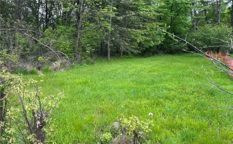 Ridley Avenue, Youngstown, OH, 44505