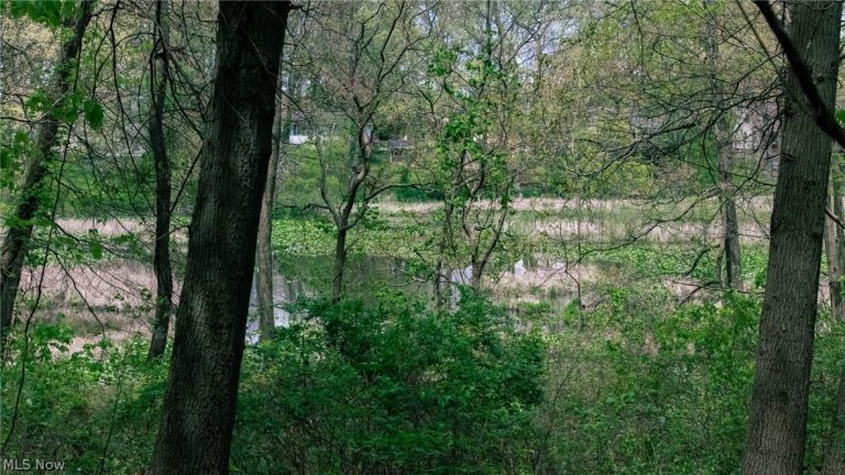 V/L Surfside Dr, Coventry, OH - Photo 3