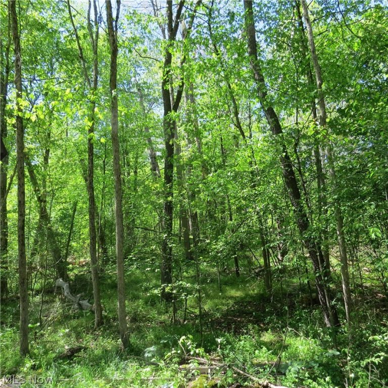 Montero Road, Carrollton, OH - Photo 3