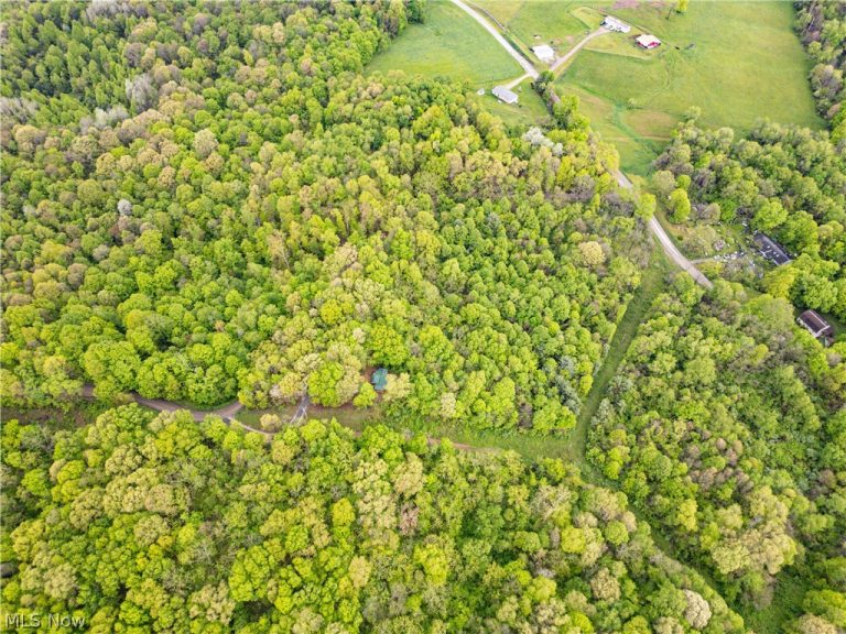 72420 Parker Road, Kimbolton, OH - Photo 5