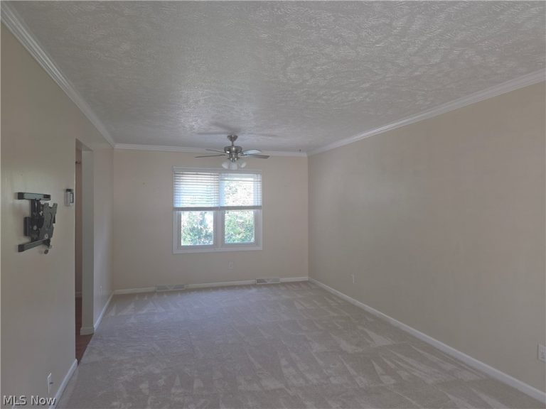 6783 Kirkwood Drive, Mentor, OH - Photo 3