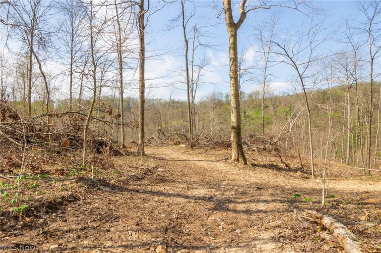 Twp Rd 63 Deans Fork Rd #5, Whipple, OH - Photo 4