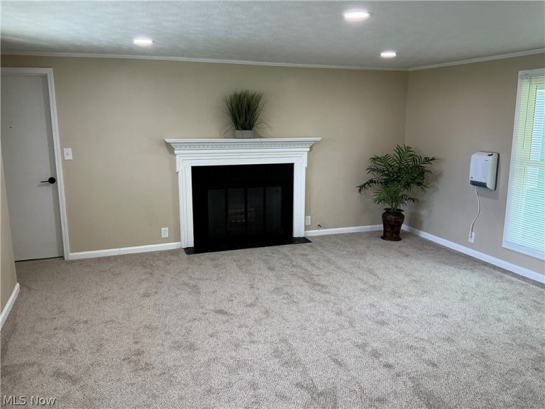 262 Miller Court, Elyria, OH - Photo 8