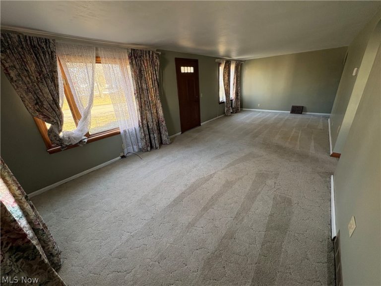 4217 Harrison Avenue, Canton, OH - Photo 3